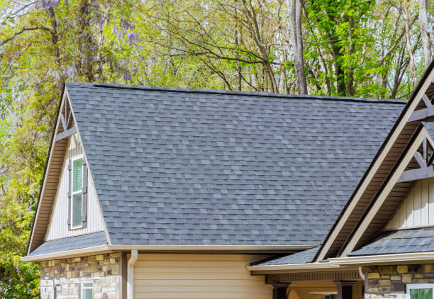 Best Solar Panel Roofing Installation  in Fox Lake, WI